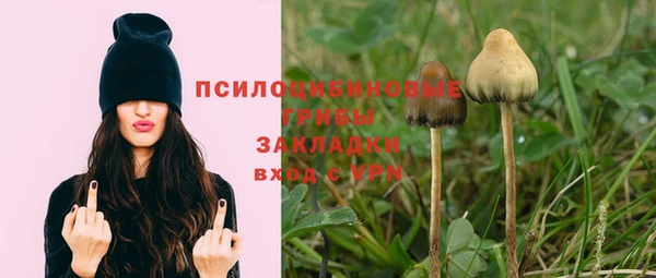 экстази Горняк