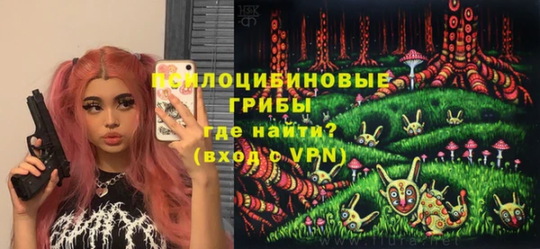 дмт Нязепетровск