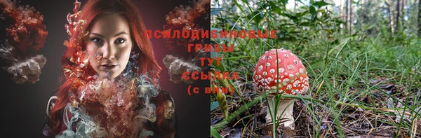 экстази Горняк