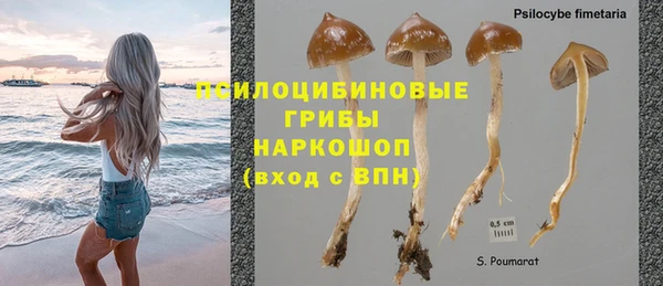 экстази Горняк