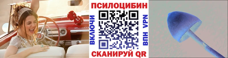 сайты даркнета как зайти Муром Псилоцибиновые грибы мицелий