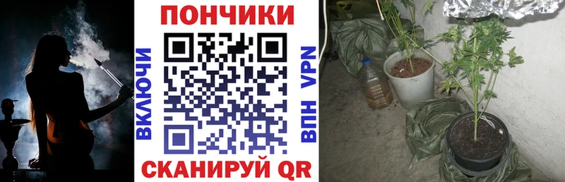 Канабис гибрид Муром